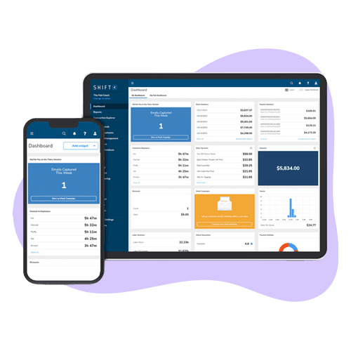 Point of Sale Dashboard Interface Showing Sales Data.
